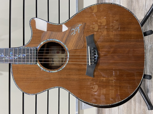 Taylor Guitars - PS14CE H RW 2